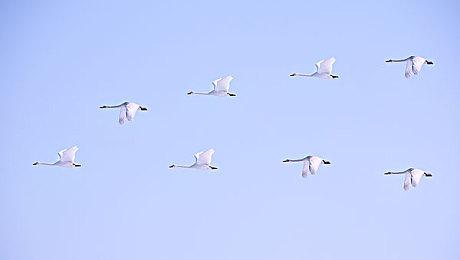 《Dungeon Antiqua》登陆Steam 复古迷宫探索RPG